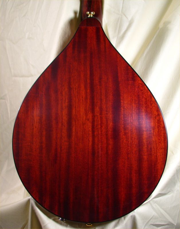 laughlin mandolin